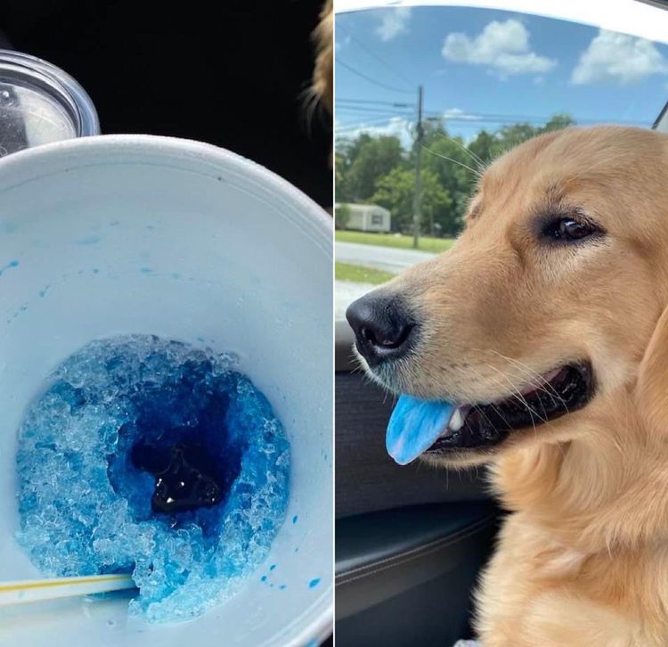 07-18-03-16578110022065939571