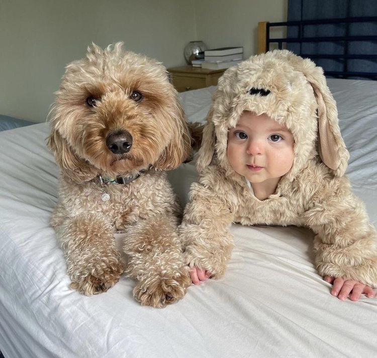 07-18-03-16578110151476488444