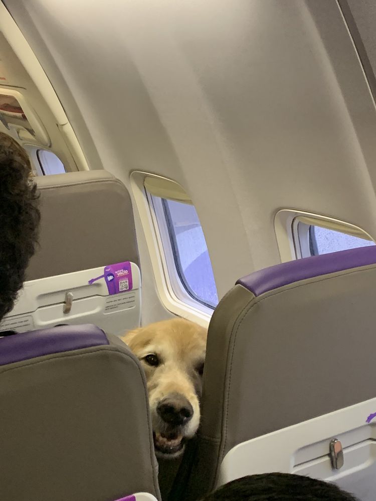 07-18-03-1657811018165131329