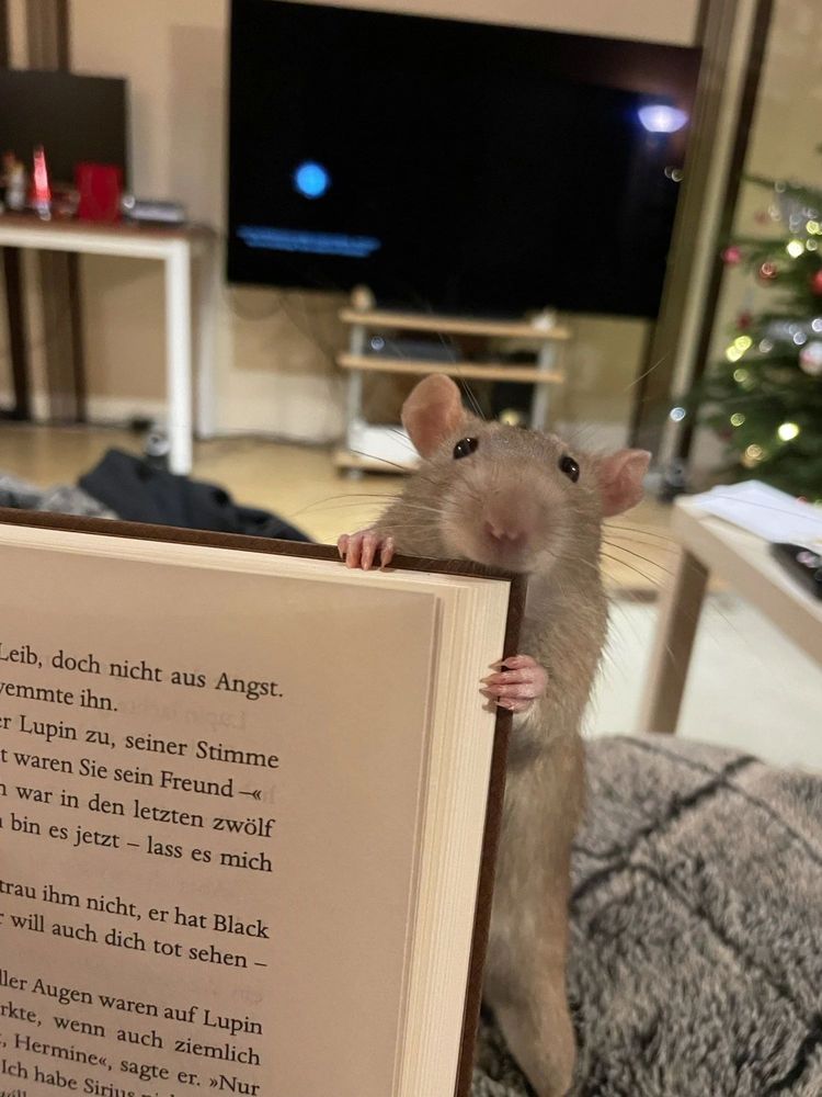 07-18-03-1657811022222712539