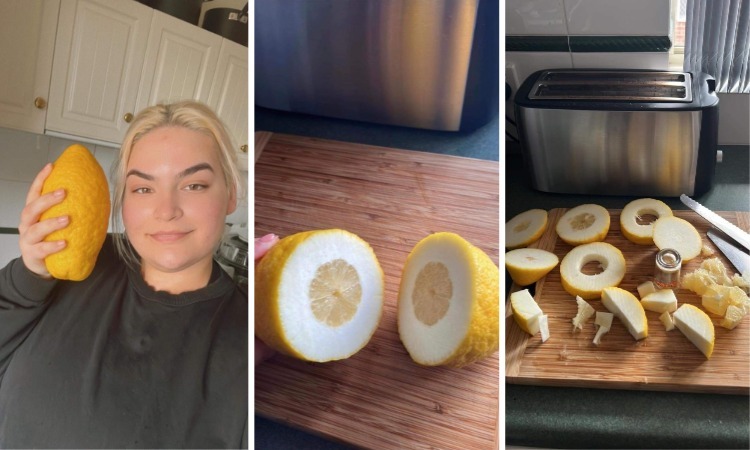 08-00-51-1659390671176738598