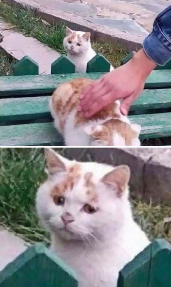 08-10-34-16614992502047671625