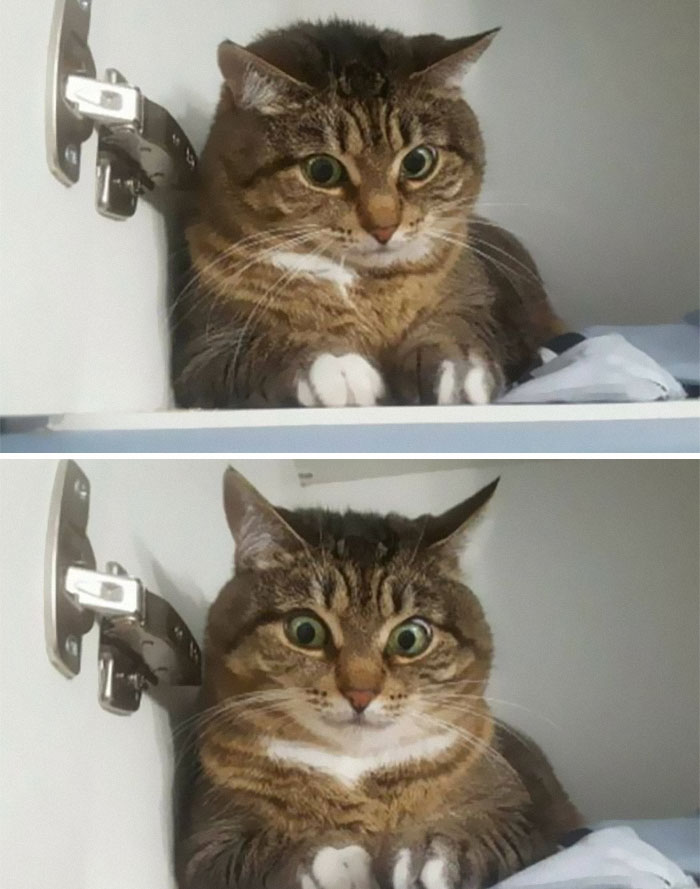 08-10-34-1661499271305776736