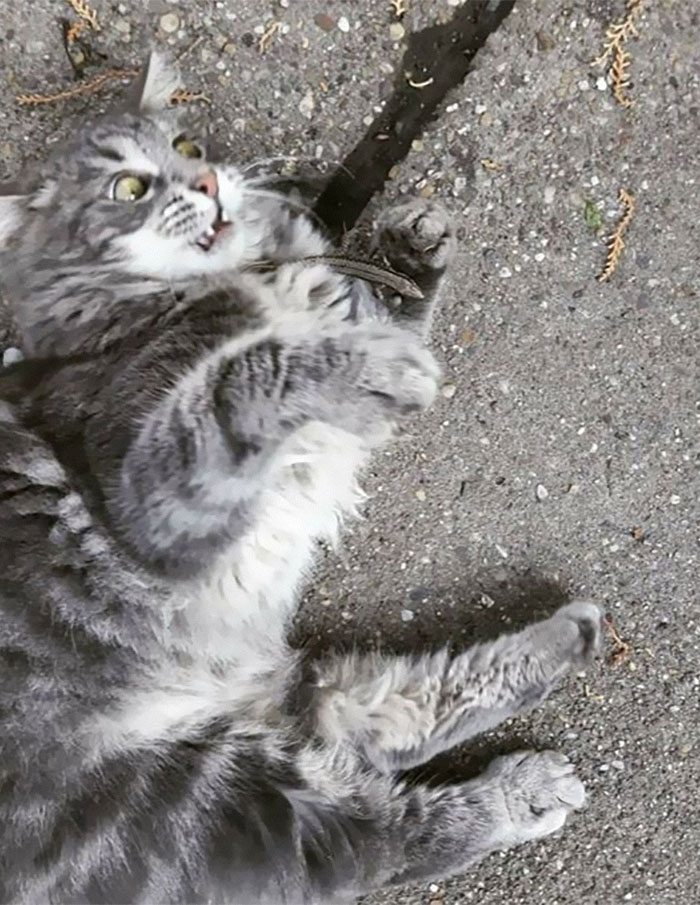 08-10-35-1661499349259211053