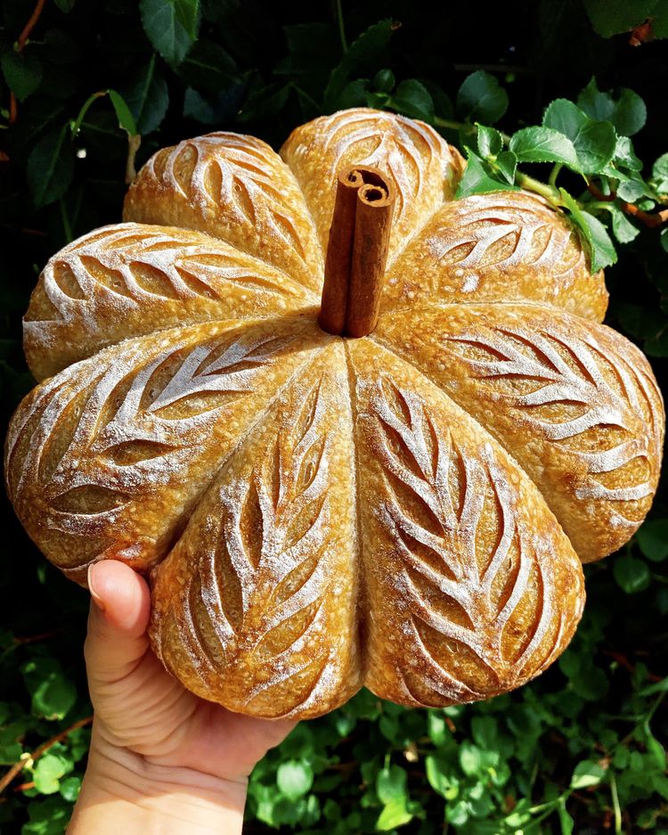 08-11-00-1659600049328475836