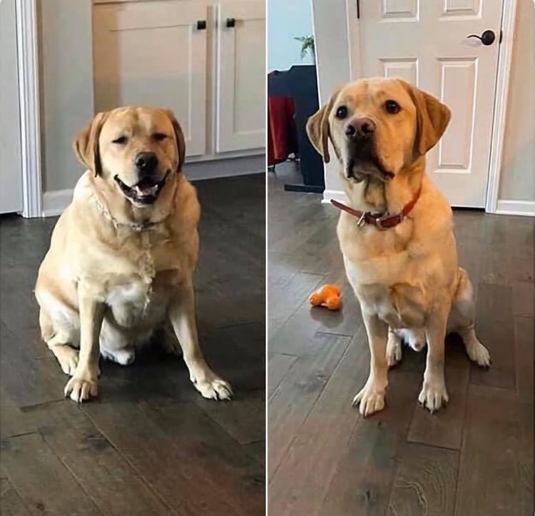 08-11-03-1660809822919222067