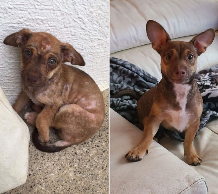 08-11-04-16608098411689432591