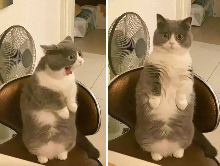 08-11-18-1661501897626368855