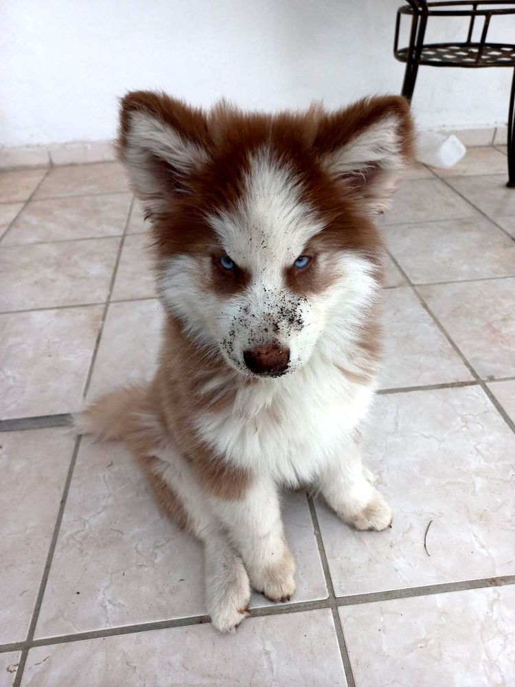 08-11-20-1661502035364356865