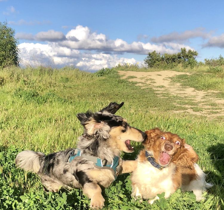 08-11-22-1661502166621384378