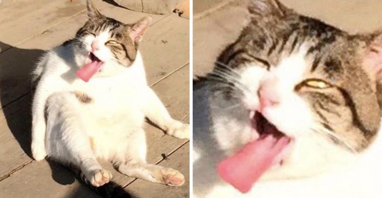 08-11-22-1661502173839125505