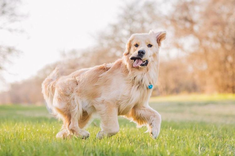 08-11-23-16615021821772483865