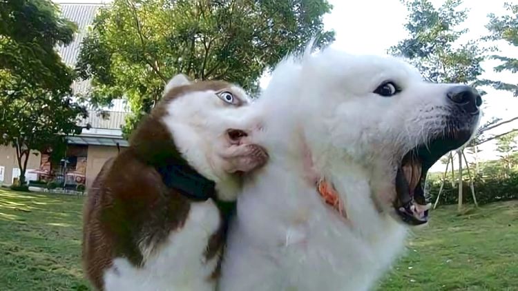 08-11-23-1661502187184045184