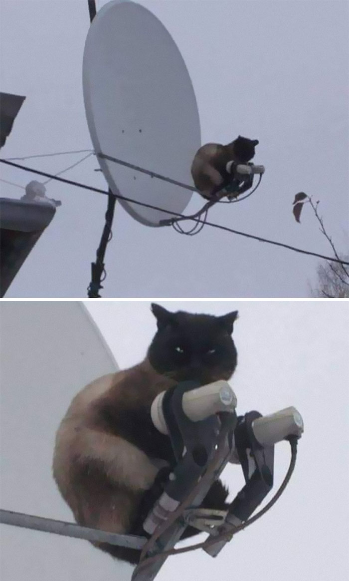 08-11-37-16593430721529709012