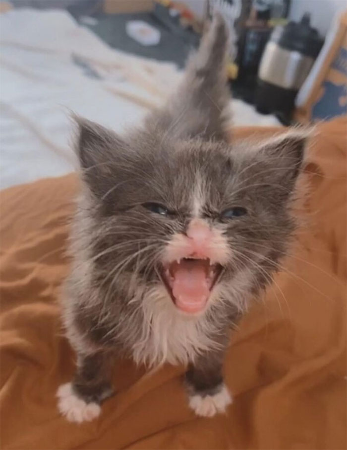 08-11-37-1659343075332312235