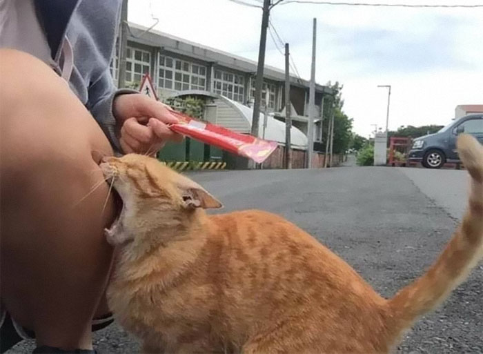 08-11-37-16593430771000540393