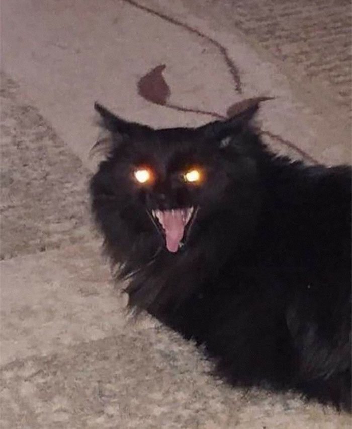 08-11-39-1659343157634742124