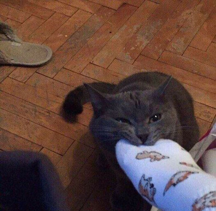 08-11-39-1659343163932330670