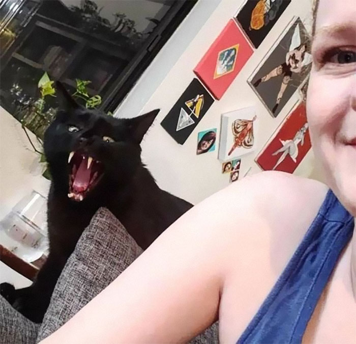 08-11-39-1659343174216229077