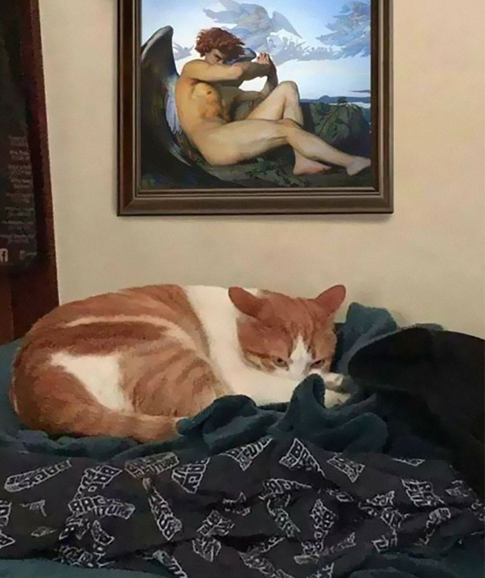 08-11-39-16593431801006803885