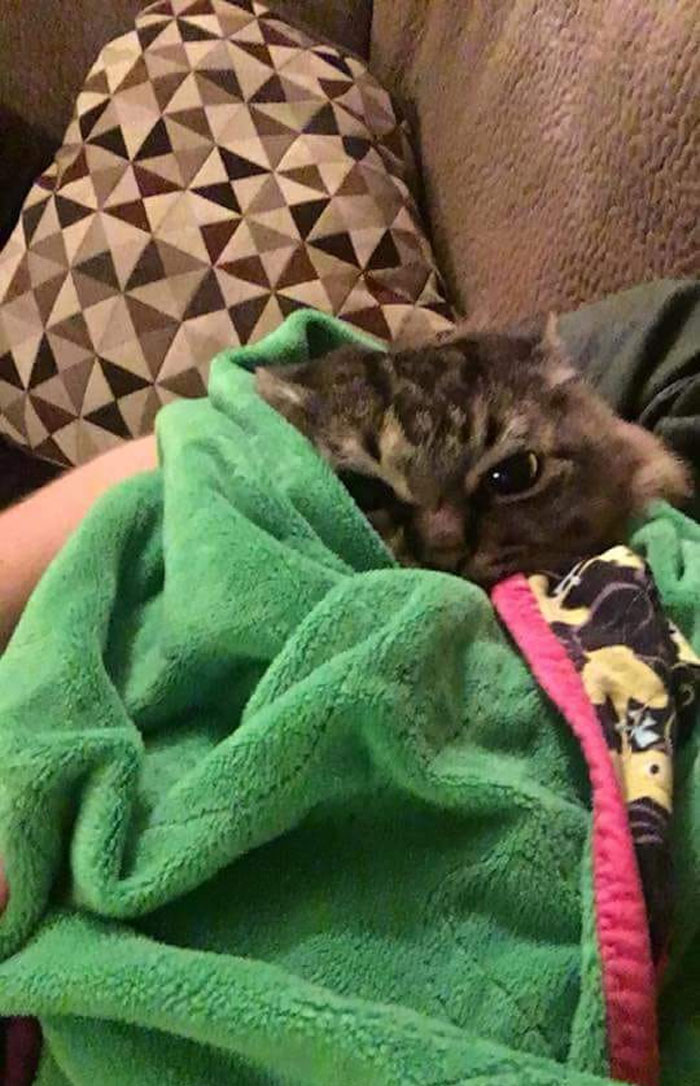 08-11-39-16593431871706996022