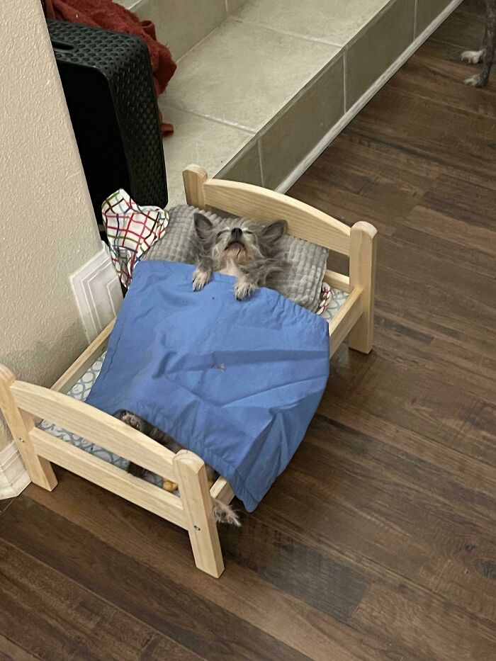 08-11-40-1660725619973558130