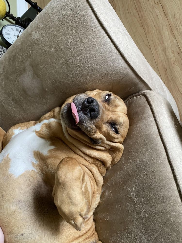 08-11-40-16607256261160223285