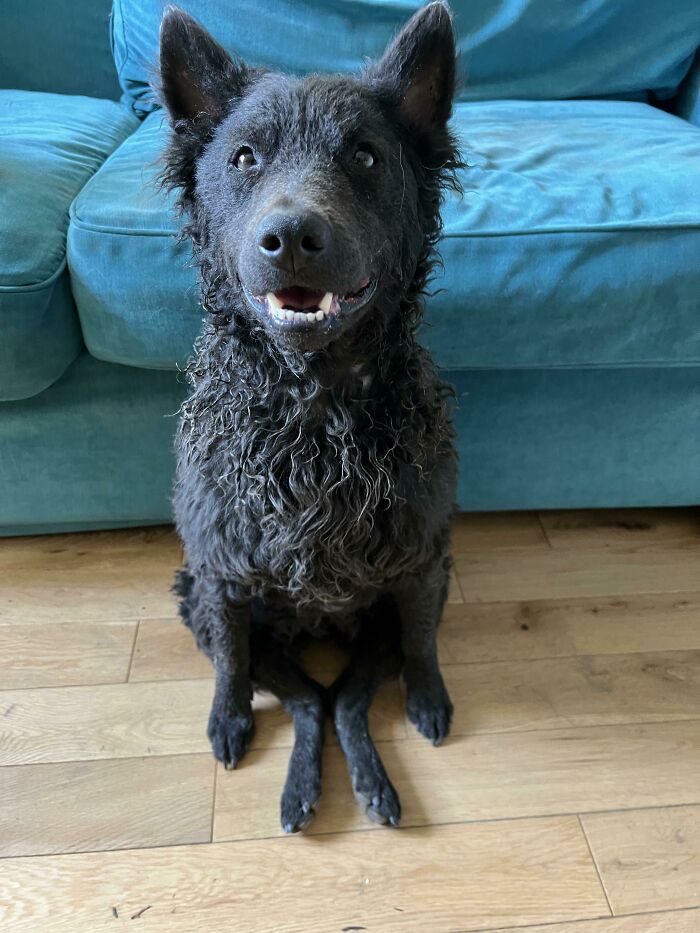 08-11-40-16607256482066848876