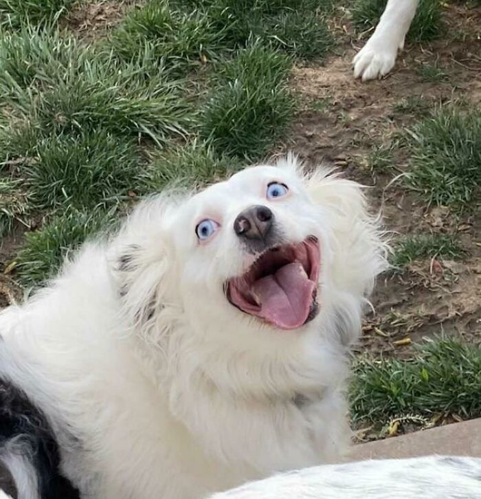 08-11-41-1660725667498624070