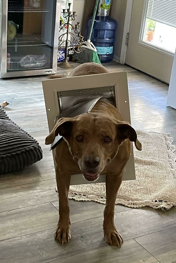 08-11-41-1660725674611116885