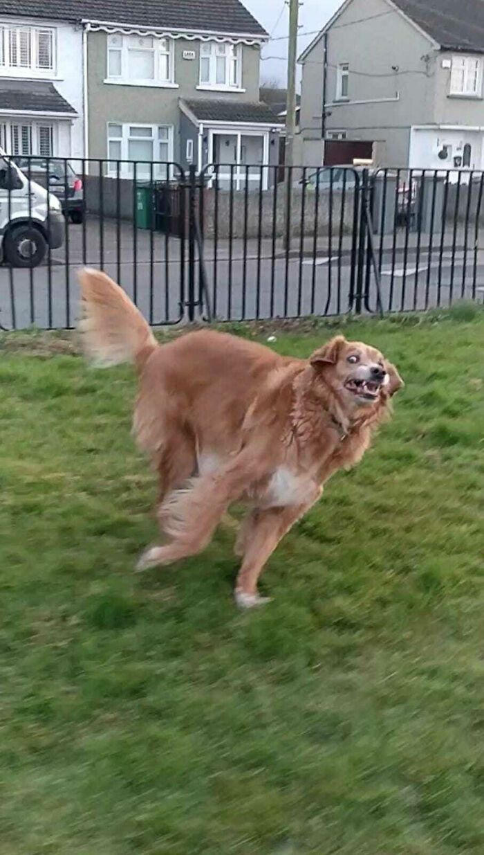 08-11-41-16607256771627328740