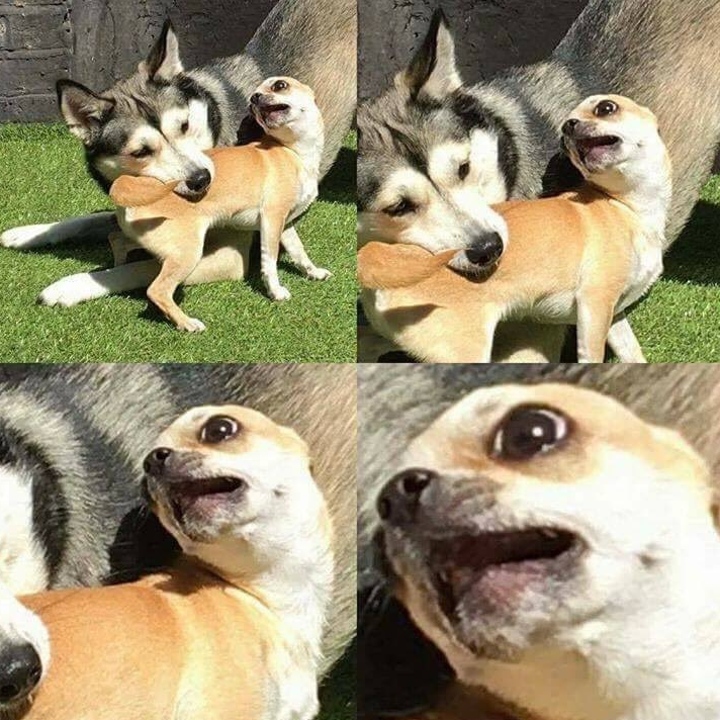 08-11-41-16607256811082691339