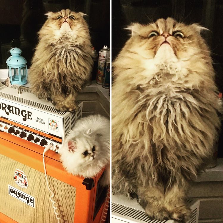 08-11-42-1659343323804720670