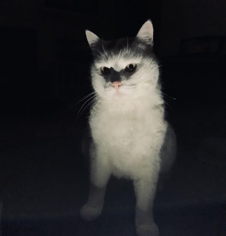 08-11-42-16593433391472388667