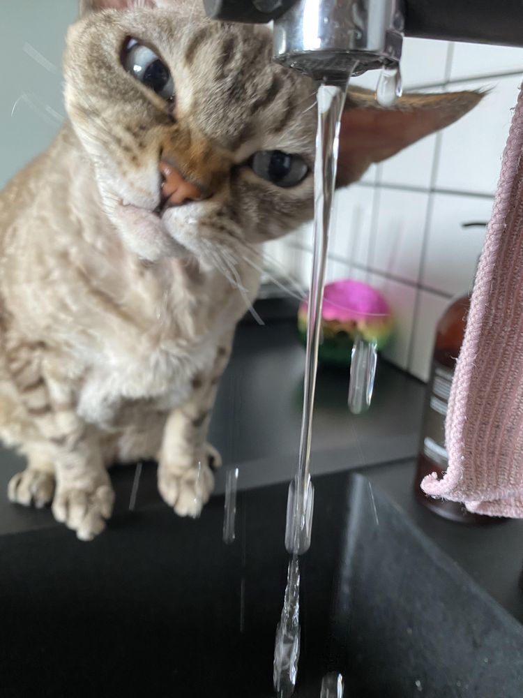 08-11-42-1659343342222235693