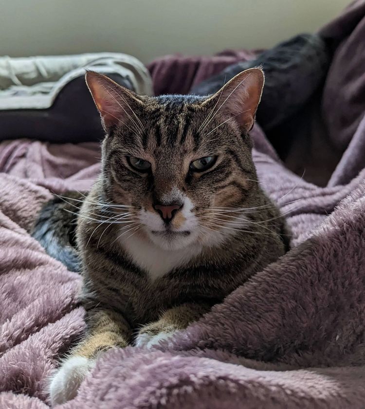 08-11-42-16593433451850695887