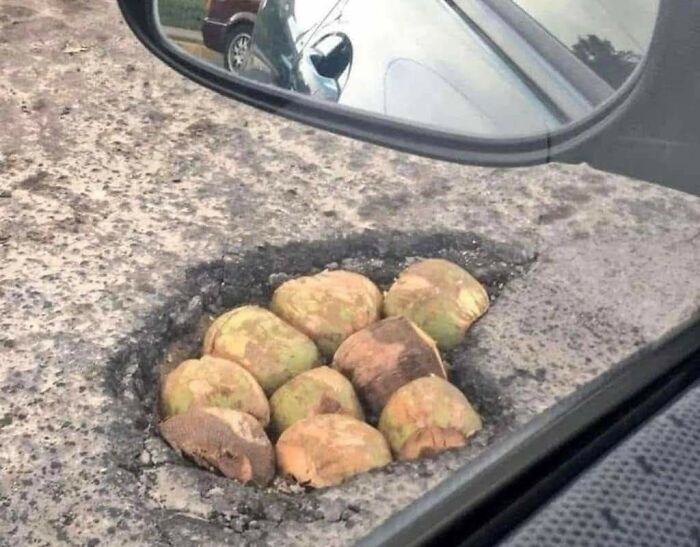 08-11-56-16596897881658468330