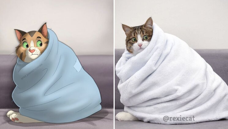 08-12-01-16600356861726435289