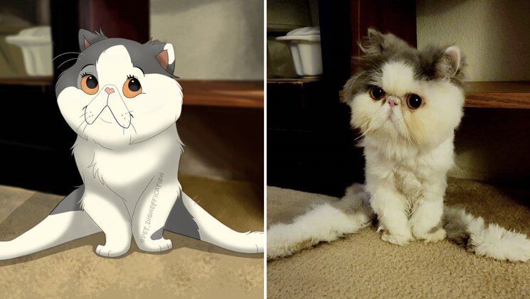 08-12-01-1660035706777315647