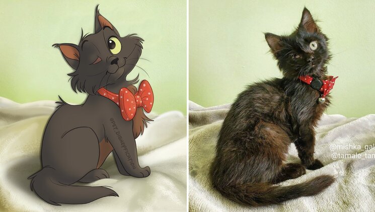 08-12-01-1660035712454174337