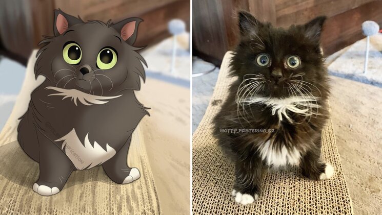 08-12-01-1660035712991468788