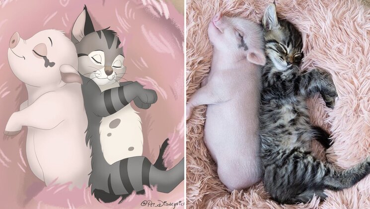 08-12-01-16600357131314710287