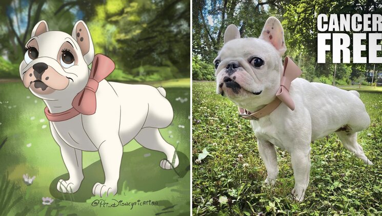 08-12-01-16600357151322678438