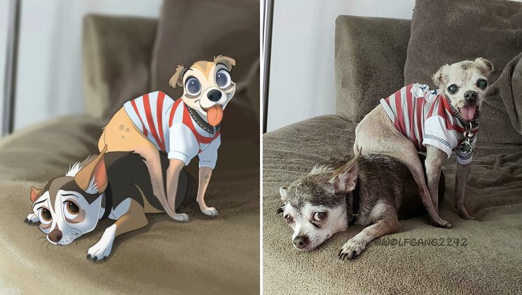 08-12-01-16600357151695002394