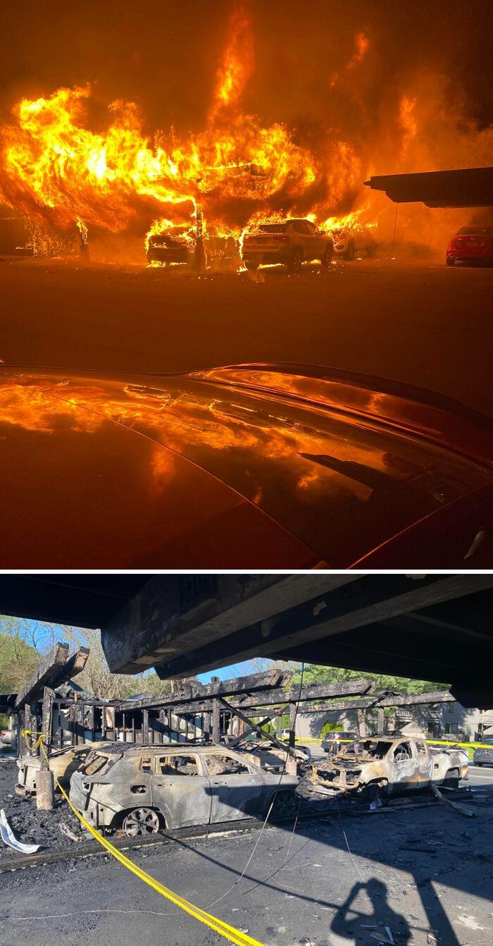 08-12-01-1660122097896961376