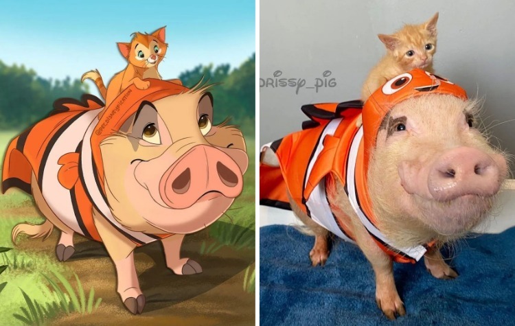 08-12-08-16600361301690009525