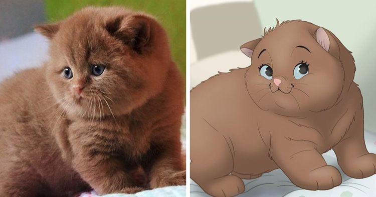 08-12-10-16600362161677729670