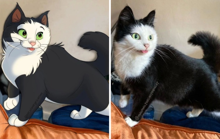 08-12-17-16600366231363416303