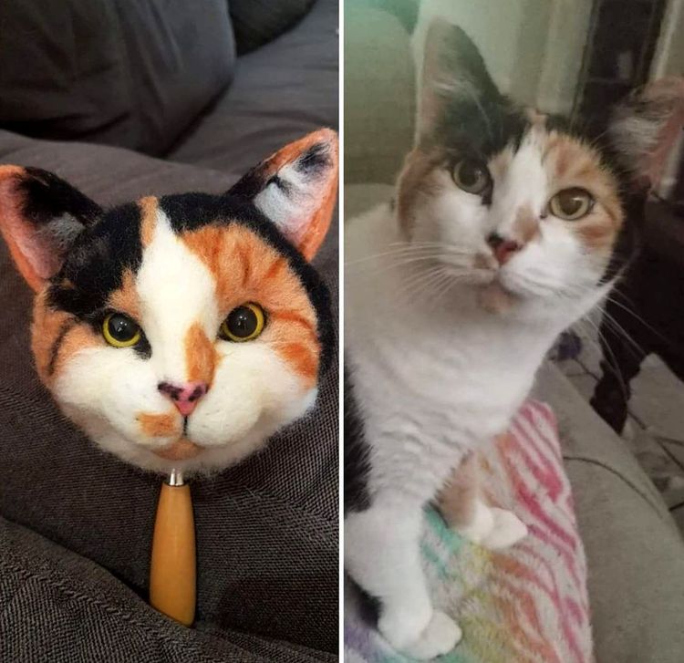 08-12-19-1660814376818576615