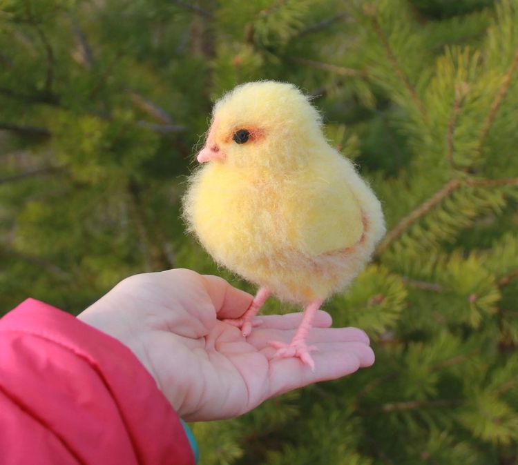 08-12-19-16608143831394668523